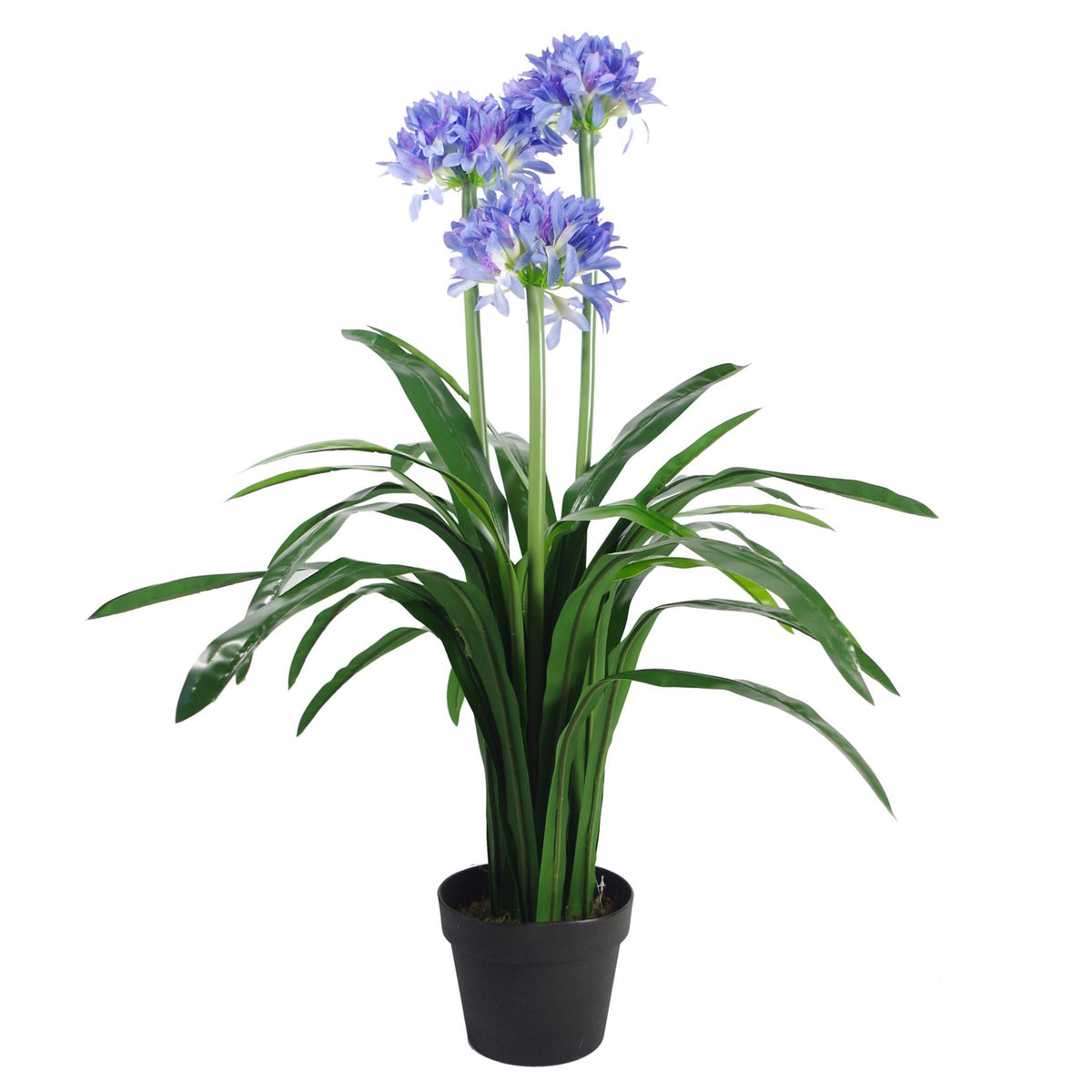 Botanik 90cm Premium Artificial Agapanthus with Blue Silk Flowers – Potted Faux Plant for Indoor Display