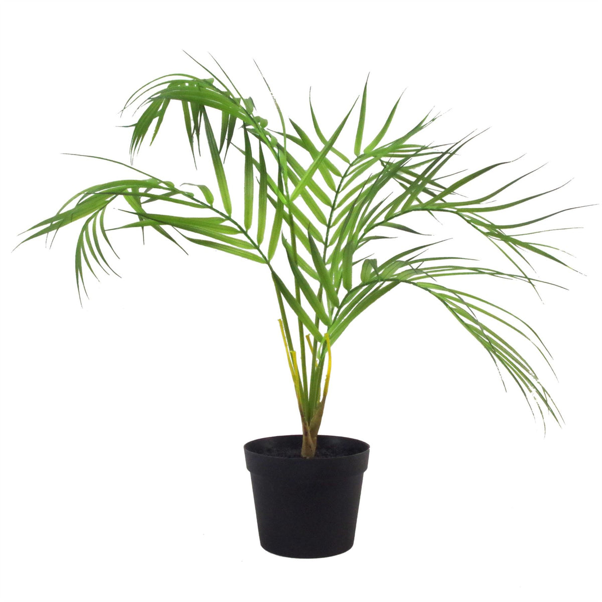 50cm Mini Artificial Areca Palm with Adjustable Wired Leaves – Compact Faux Plant in Black Pot
