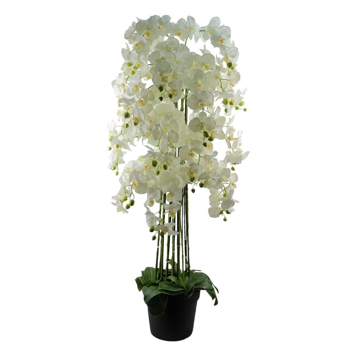 Giant White Artificial Orchid Plant, 150cm with 189 Real Touch Flowers – Wired Stems, Potted