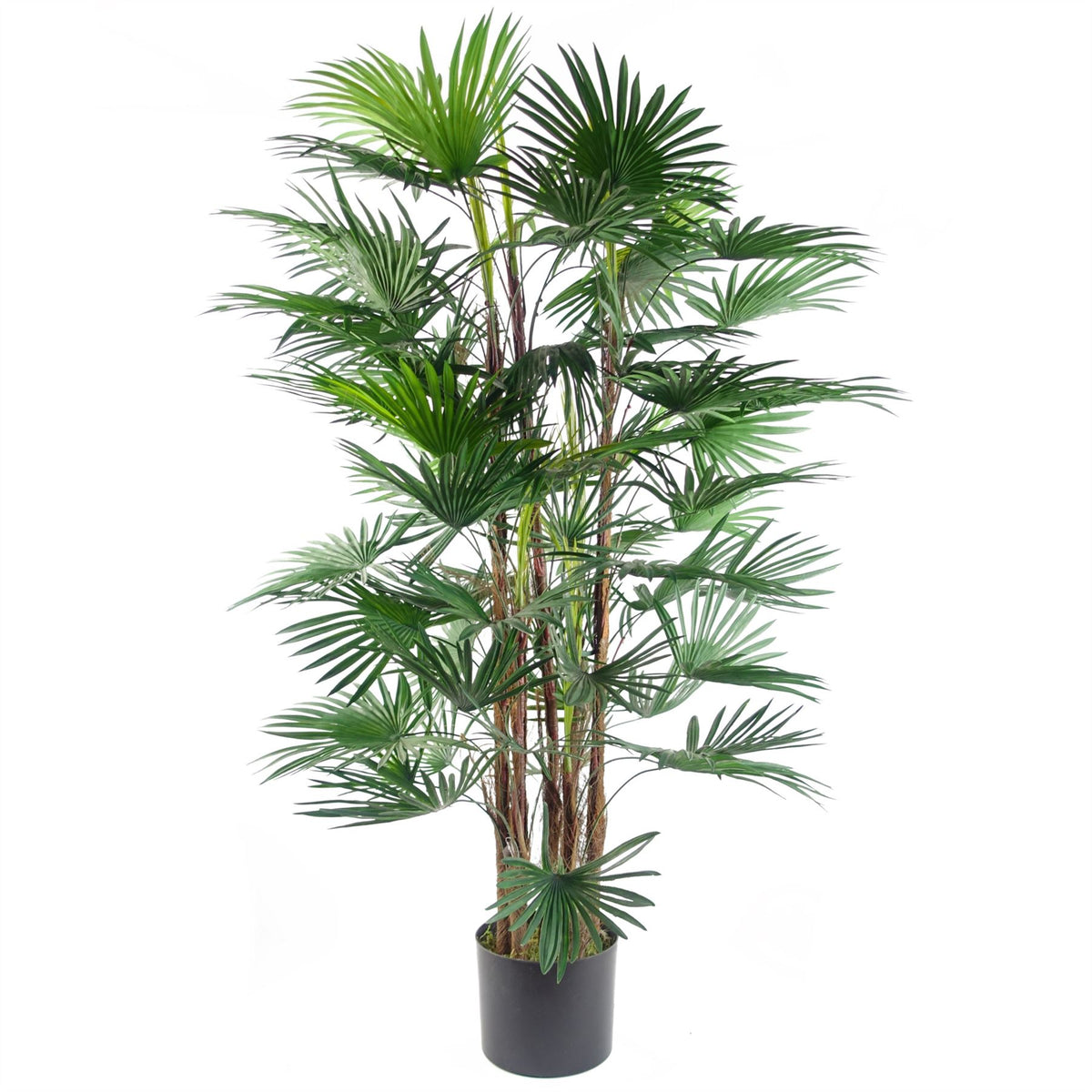 Leaf 120cm Artificial Fan Palm Tree with Weighted Black Pot – Realistic Faux Plant for Home