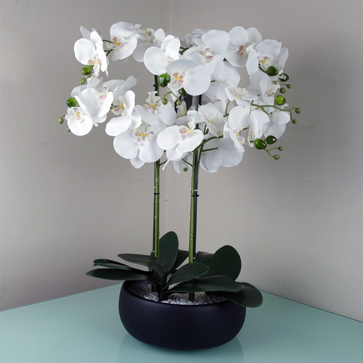 60cm Orchid Artificial White – Black Ceramic Planter