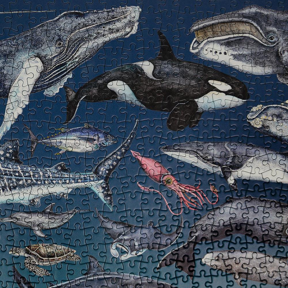 The Ocean 1000 Piece Jigsaw Puzzle – Underwater Marine Life Illustrations by Rachel Brooks