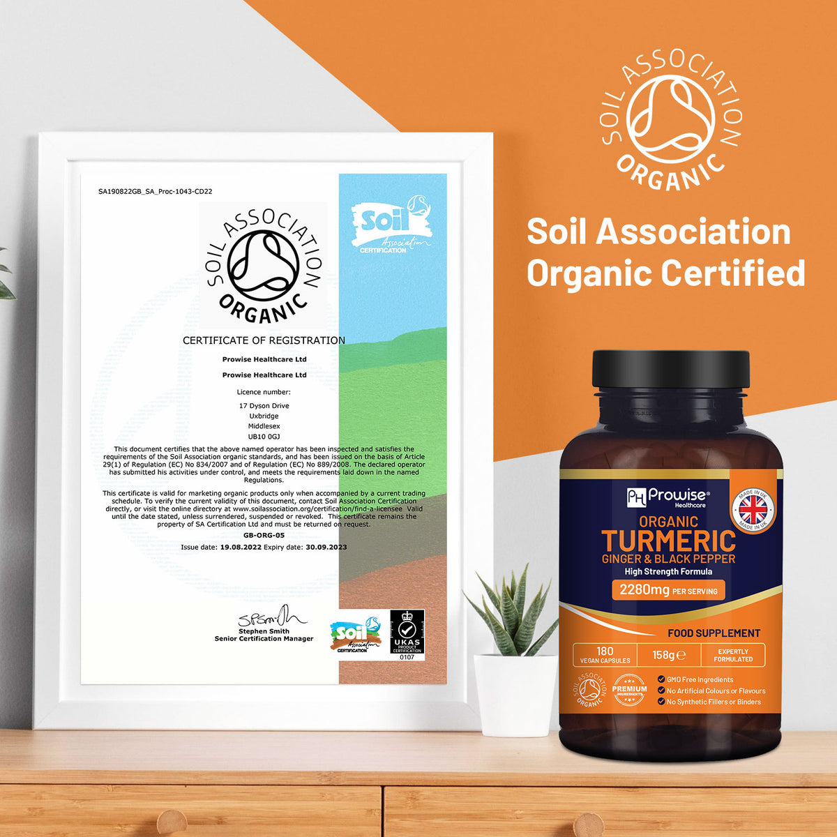 Prowise Organic Turmeric 2280mg High Strength with Black Pepper & Ginger – 180 Vegan Capsules