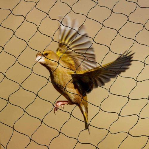 Garden Habitats Anti-Bird Garden Netting, 2m x 10m Rolls, Pack of 10 – Fine Mesh Plant, Pond & Crop Protection