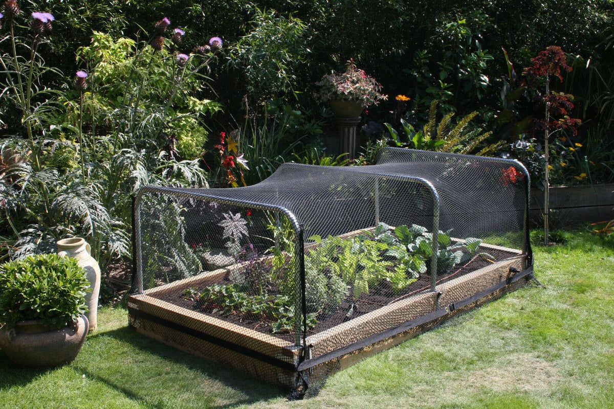 Garden Habitats Anti-Bird Garden Netting, 2m x 10m Rolls, Pack of 6 – Fine Mesh Plant, Pond & Crop Protection
