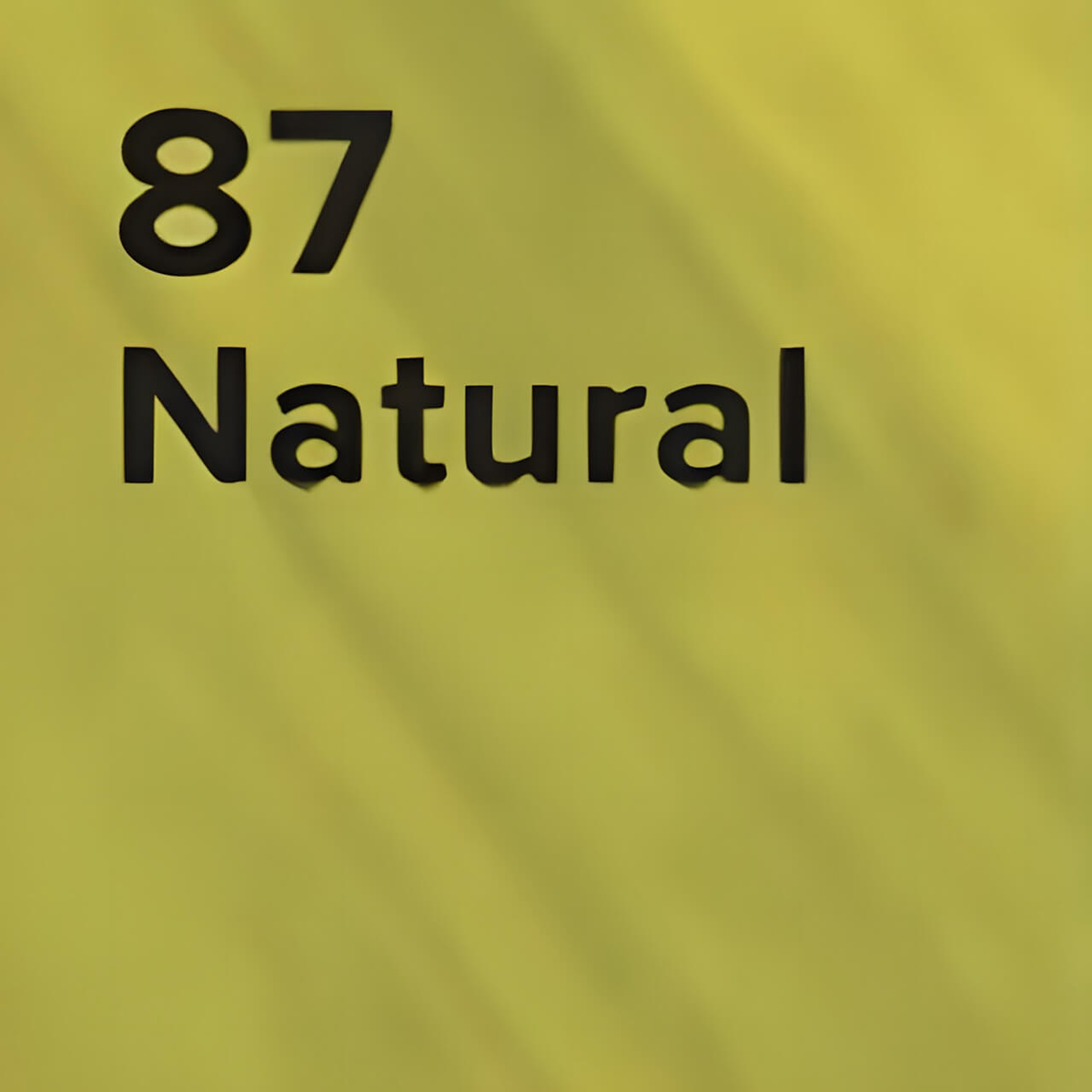 main.png