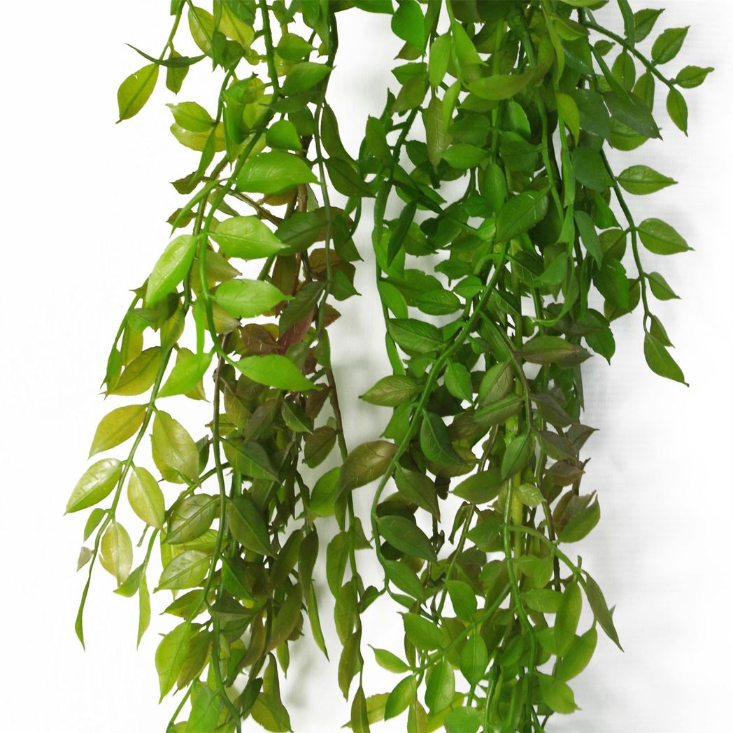 Leaf Design UK 100cm Artificial Hanging String of Pearls Fern Plant – Unpotted Bare Stem, Dark Green