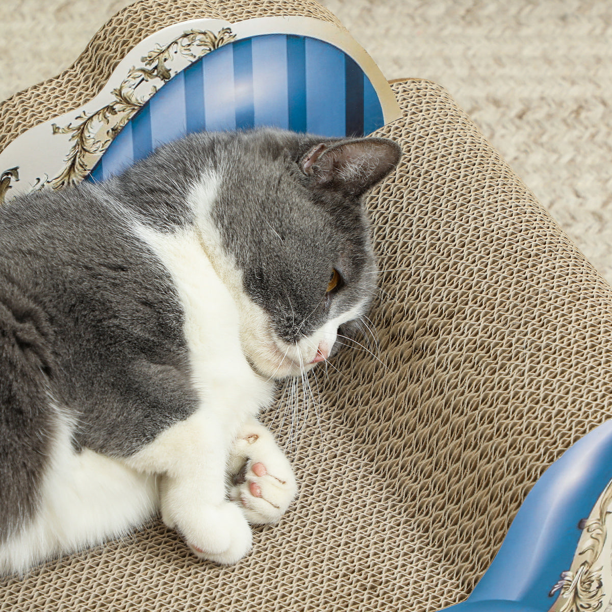 PawHut 2-in-1 Cat Scratcher and Lounge Bed with Catnip, Corrugated Cardboard – Blue