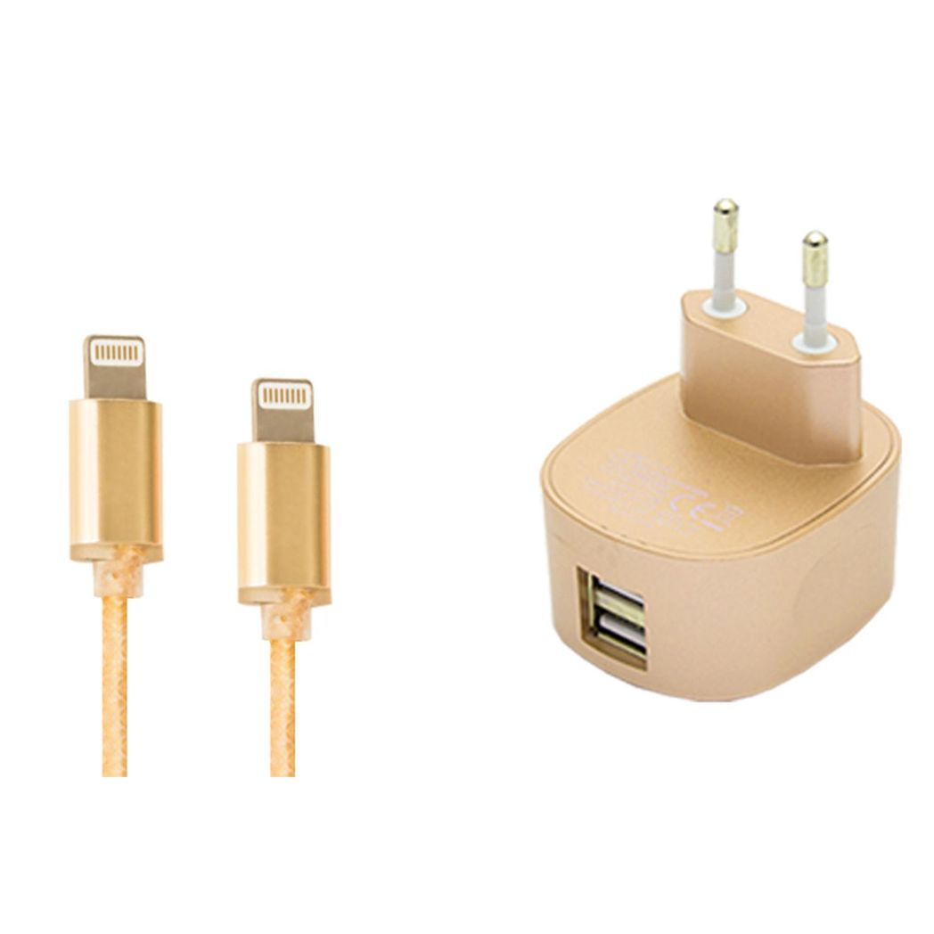 FX Multicoloured Dual USB Mains Charger, 2.4A with LED Light – Fast Charging Plug (EU), Gold