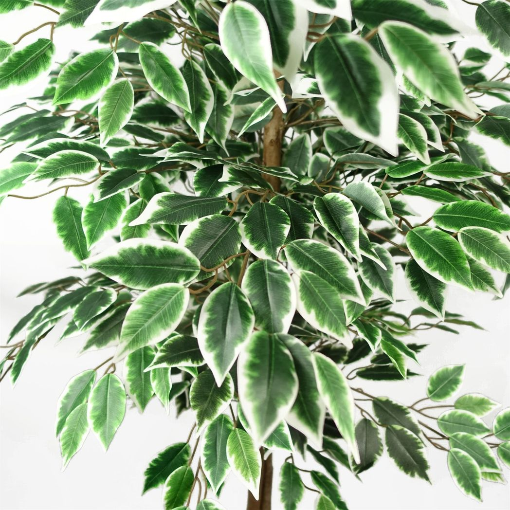 Leaf 150cm Artificial Silk Ficus Tree with 1008 Leaves – Weighted Black Pot, Low-Maintenance Plant