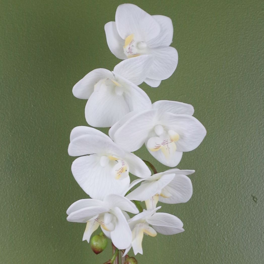Leaf Artificial Orchid with Real Touch Flowers & Silver Pot – 46cm Realistic Faux Plant, White