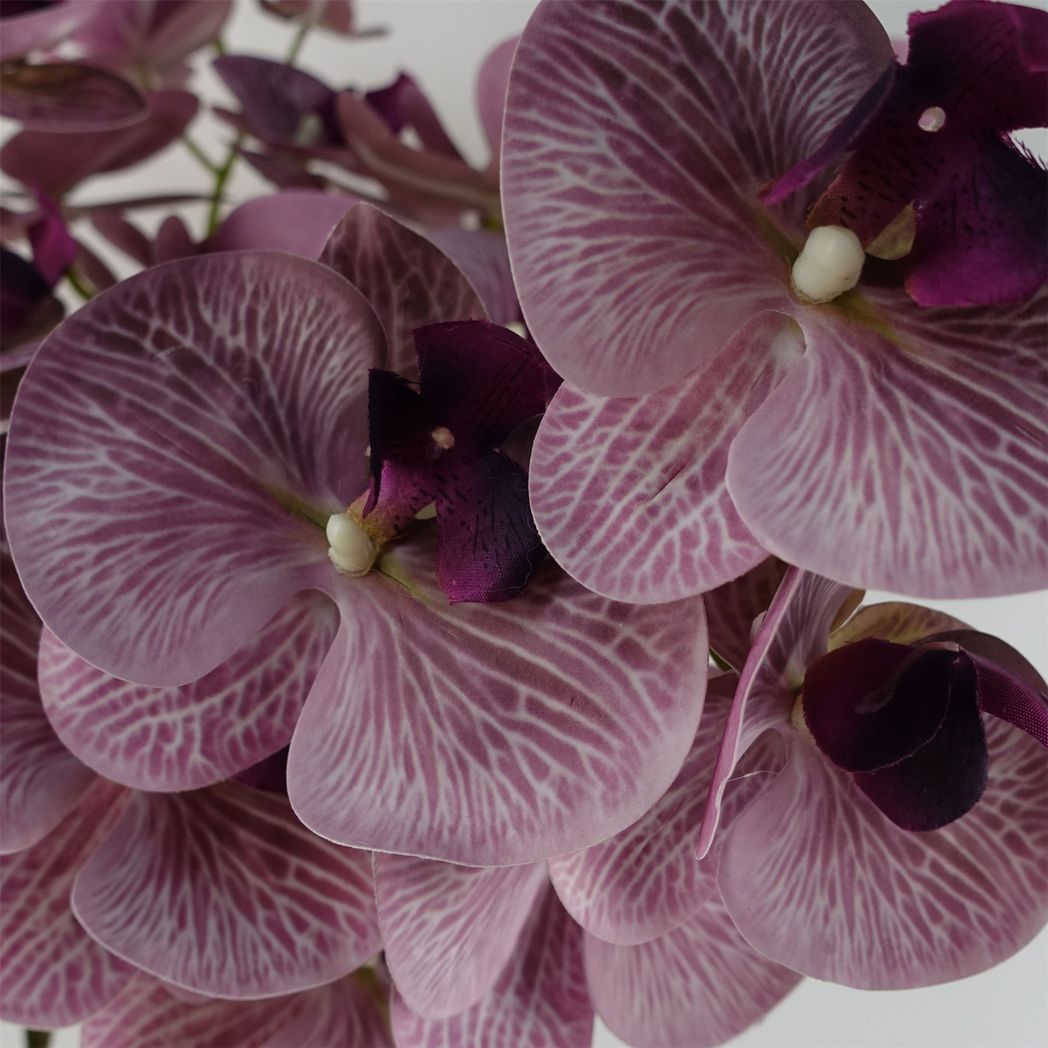Pack of 6 x 100cm Artificial Phalaenopsis Orchid Purple Stem – 42 Flowers