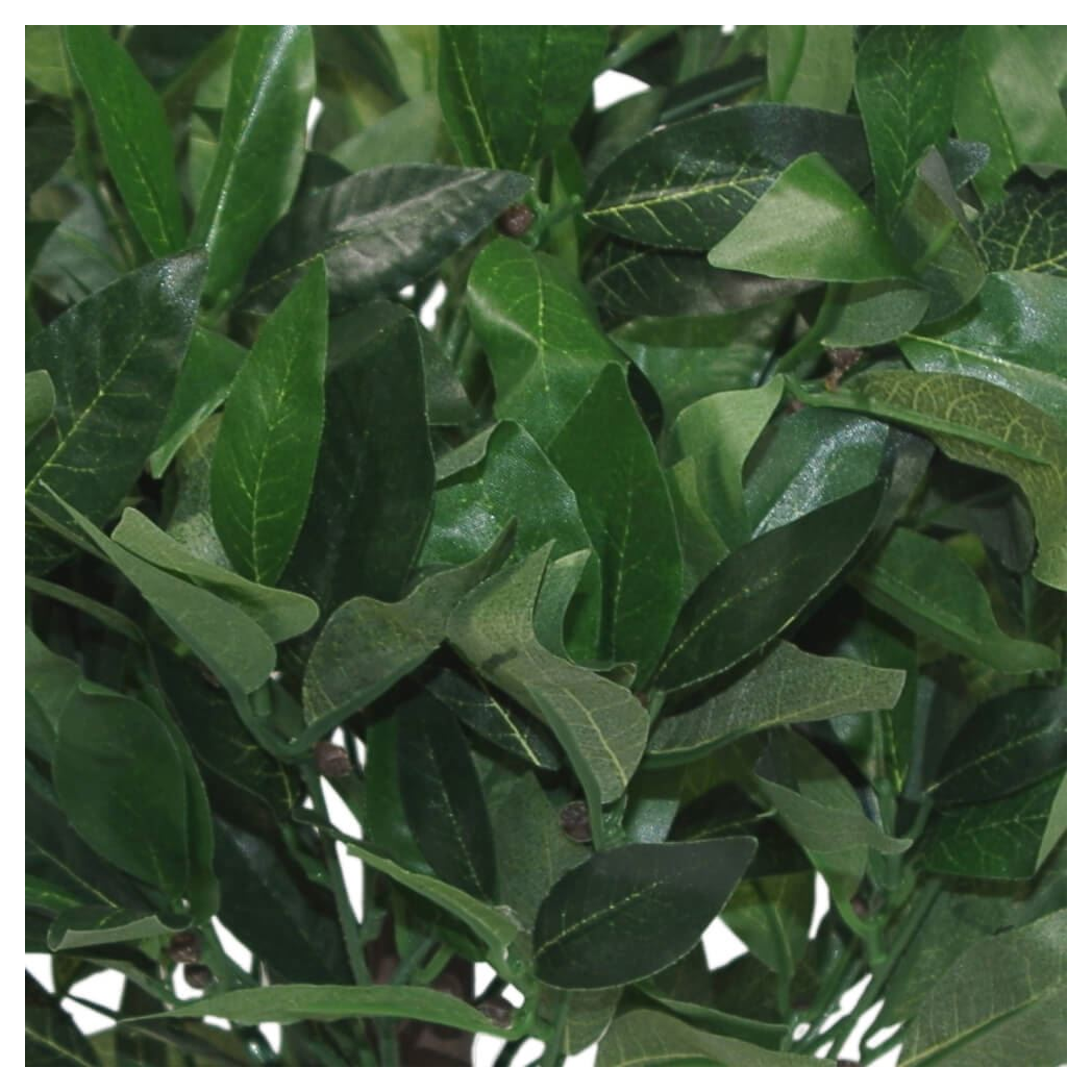 Pair of 50cm Dwarf Artificial Bay Trees – Realistic Laurel Topiary Bushes, Potted, Low Maintenance