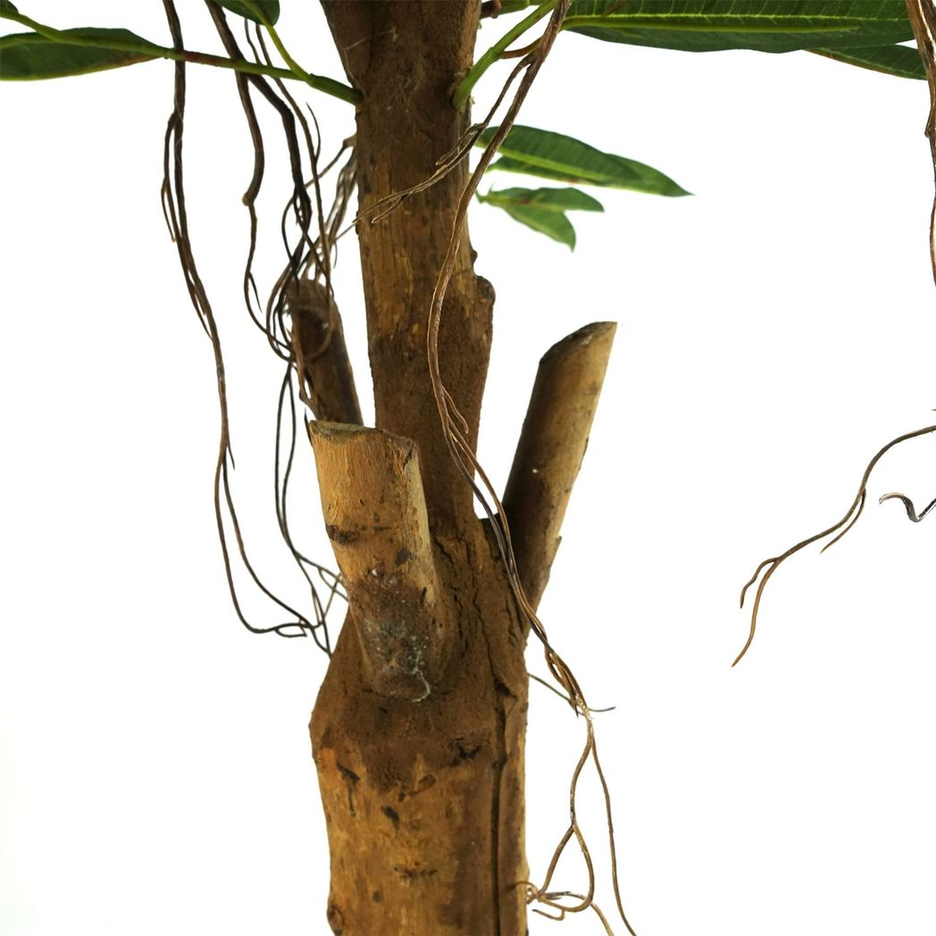 Artificial Longifolia Ficus Tree, 100cm with Natural Trunk – Realistic Silk Leaves & Hanging Vines