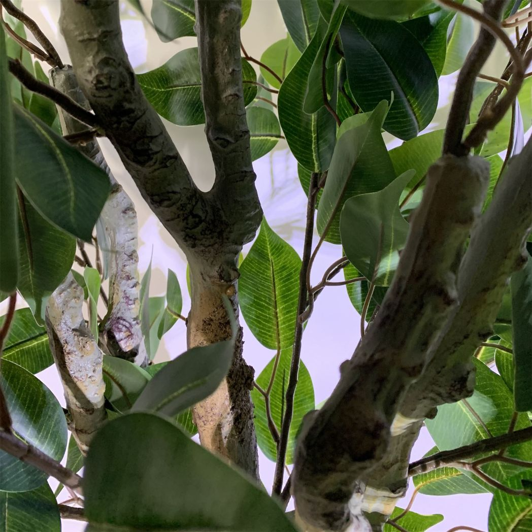 100cm Leaf Realistic Artificial Ficus Tree / Plant Bush Ficus Gold Planter