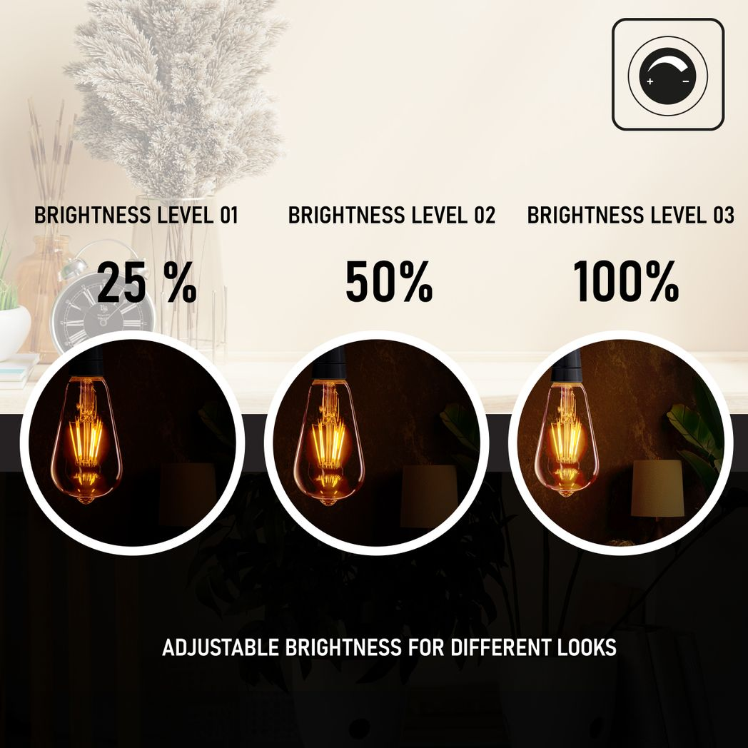 Ledsone 5 Pack E27 Dimmable LED Edison Bulbs, 8W 2700K Warm White – ST64 Amber Glass Filament Lights