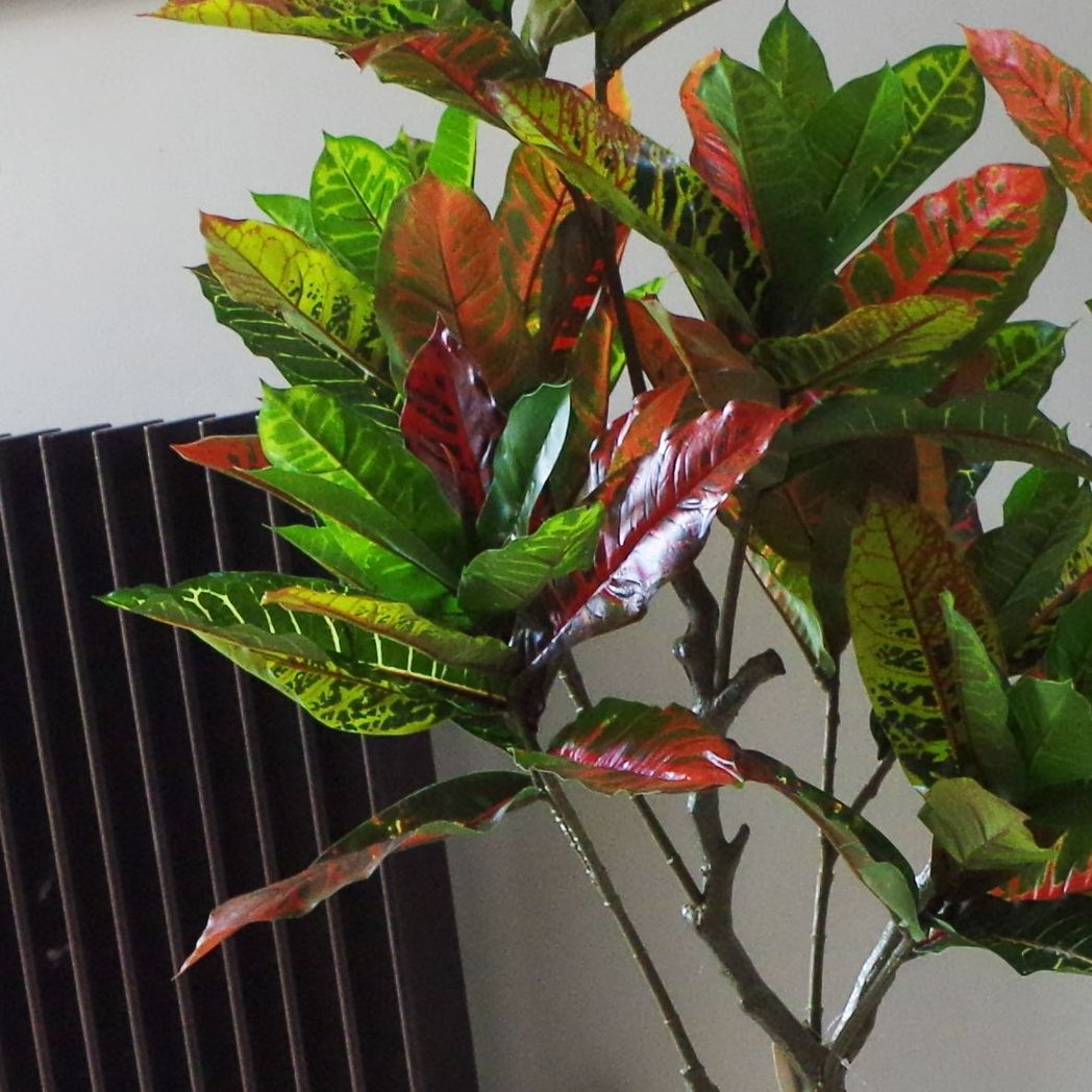 Artificial Codiaeum Variegatum Tree, 130cm Multicoloured – Realistic Indoor Plant with Wired Stems