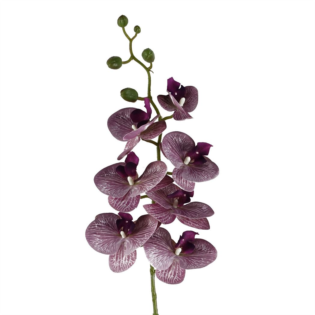Pack of 6 x 100cm Artificial Phalaenopsis Orchid Purple Stem – 42 Flowers
