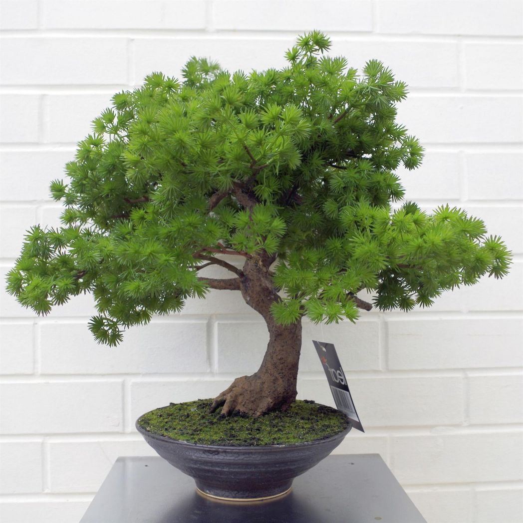 Leaf 50cm Artificial Luxury Pine Bonsai Tree in Ceramic Pot – Fully Assembled, Wired Stems