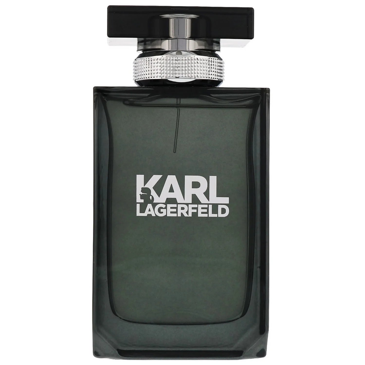 Karl Lagerfeld Pour Homme Eau de Toilette Spray 100ml β Fresh & Citrus, Woody Fragrance for Men