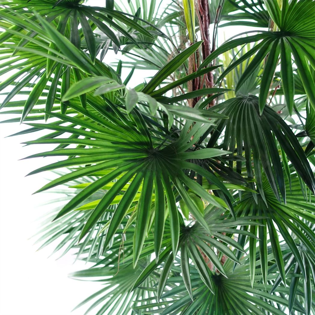 Leaf 120cm Artificial Fan Palm Tree with Weighted Black Pot – Realistic Faux Plant for Home