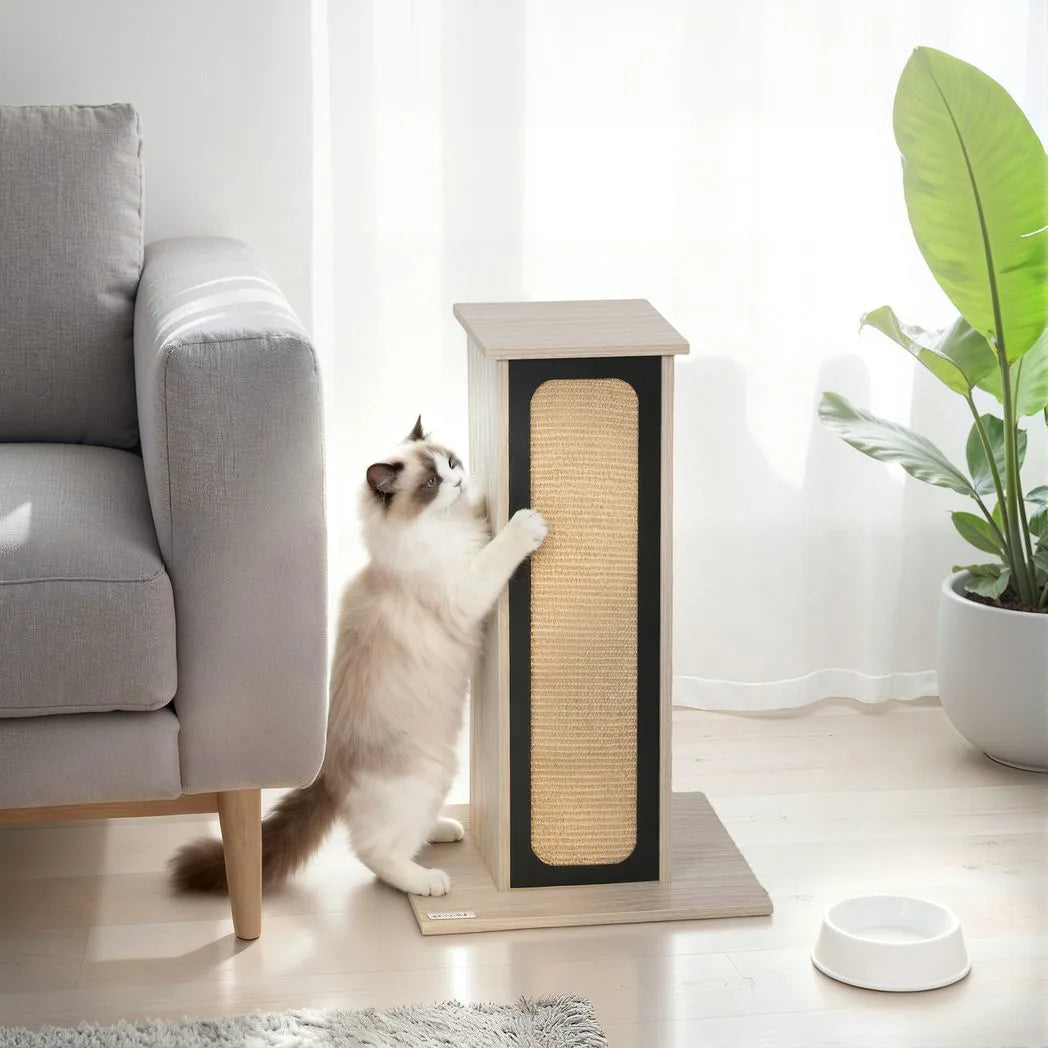 PawHut 63cm Cat Scratching Post with Replaceable Scratching Board, Top Perch & Sisal Scratch Mat – Oak