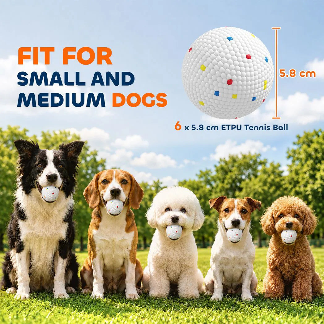 PawHut 6 Pack ETPU Dog Balls, 58mm – Bite-Resistant Floating Fetch and Chew Toys for Small and Medium Dogs