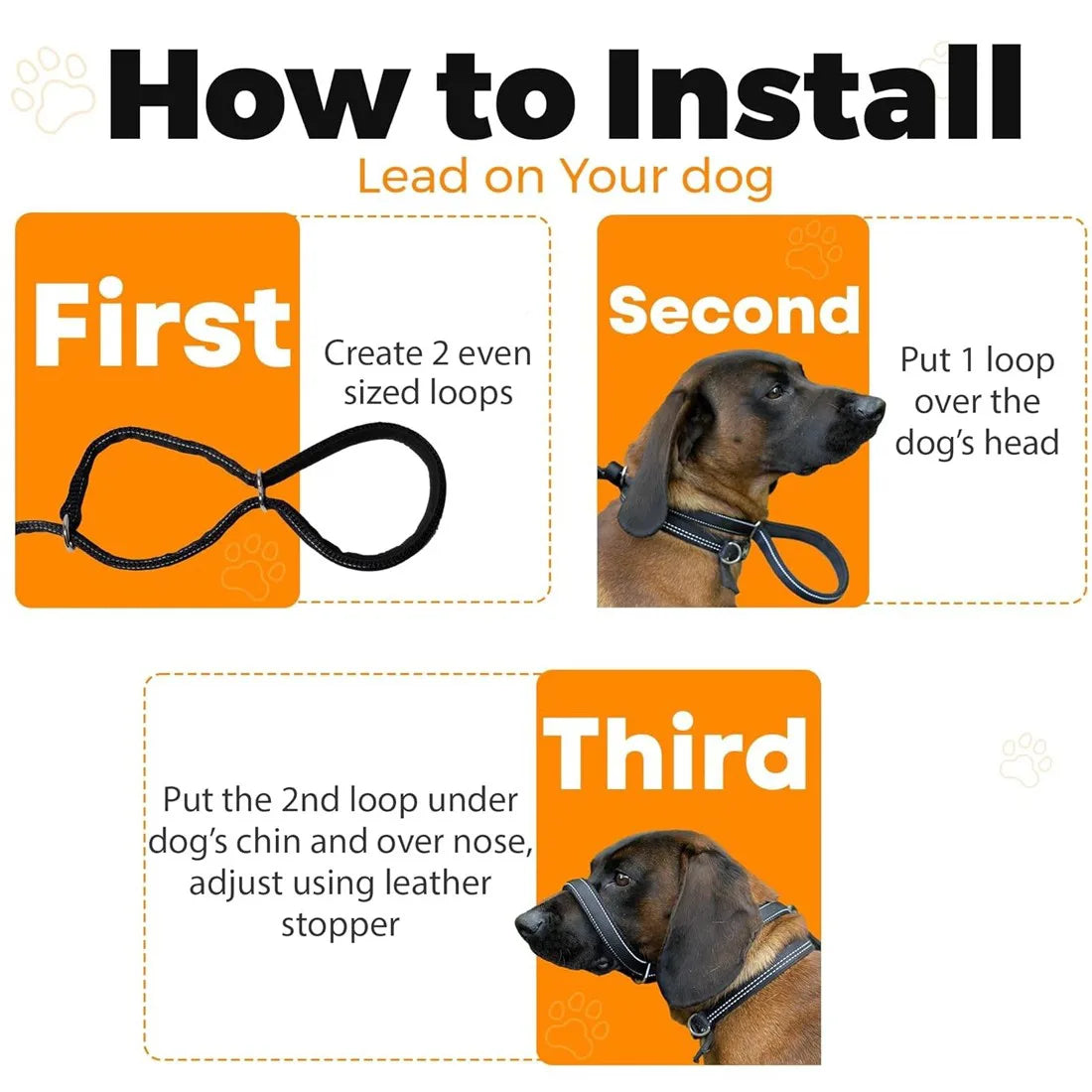 Anti-Pull Dog Lead with Integrated Head Collar Design & Waste Bag Dispenser – 200cm Black Nylon Training Leash