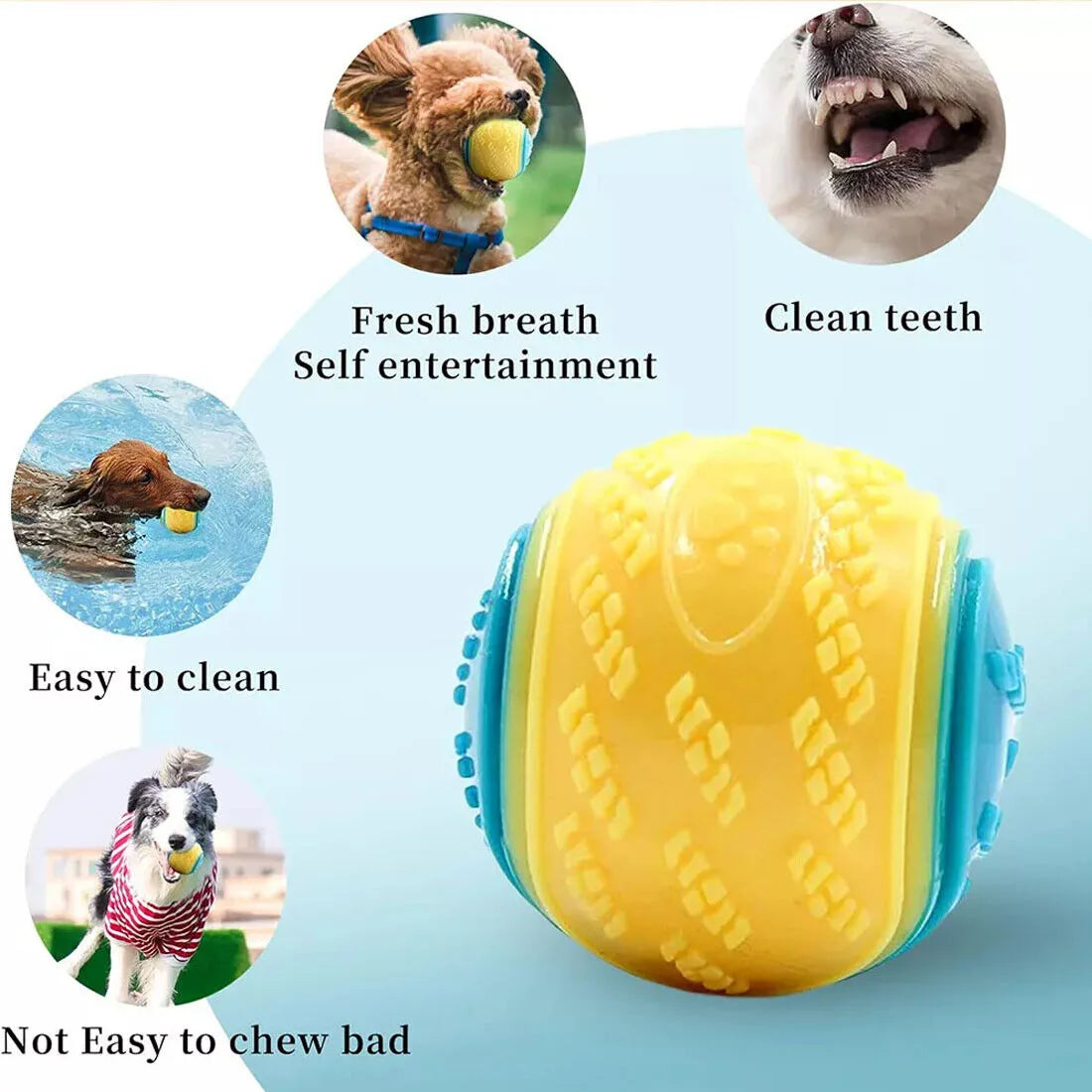 Scooby-Doo Squeaky Dog Balls, Set of 8 – Durable TPR Interactive Chew and Fetch Toys, Assorted Colours
