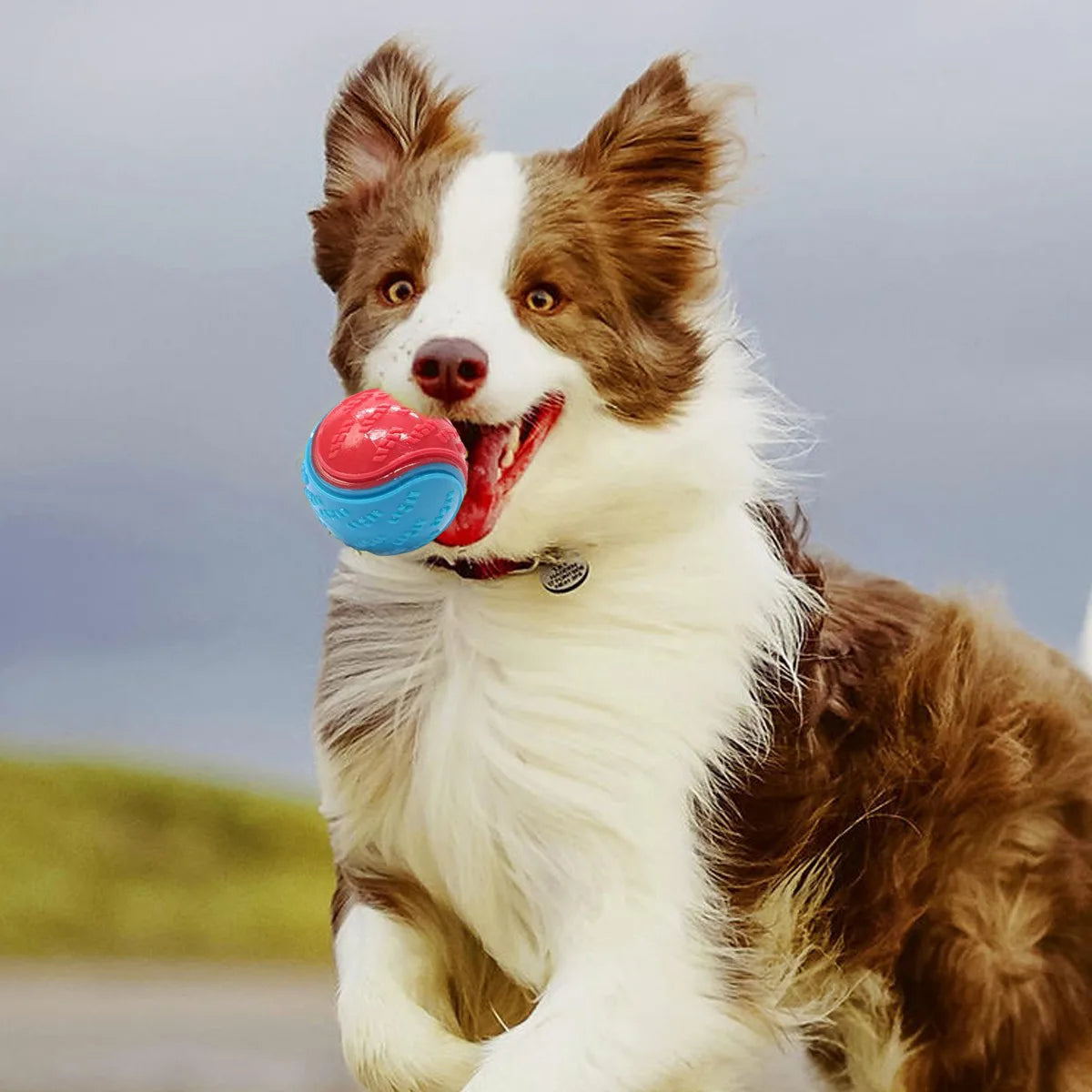 Scooby-Doo Squeaky Dog Balls, Set of 8 Durable Rubber Toys – Interactive Play & Teeth Cleaning