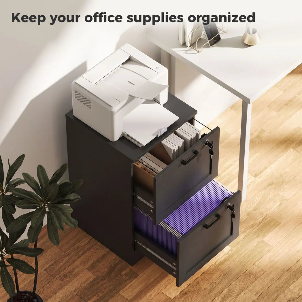 HOMCOM 2-Drawer Lockable Filing Cabinet with Adjustable Hanging Rails – Compact Home Office Storage, Black