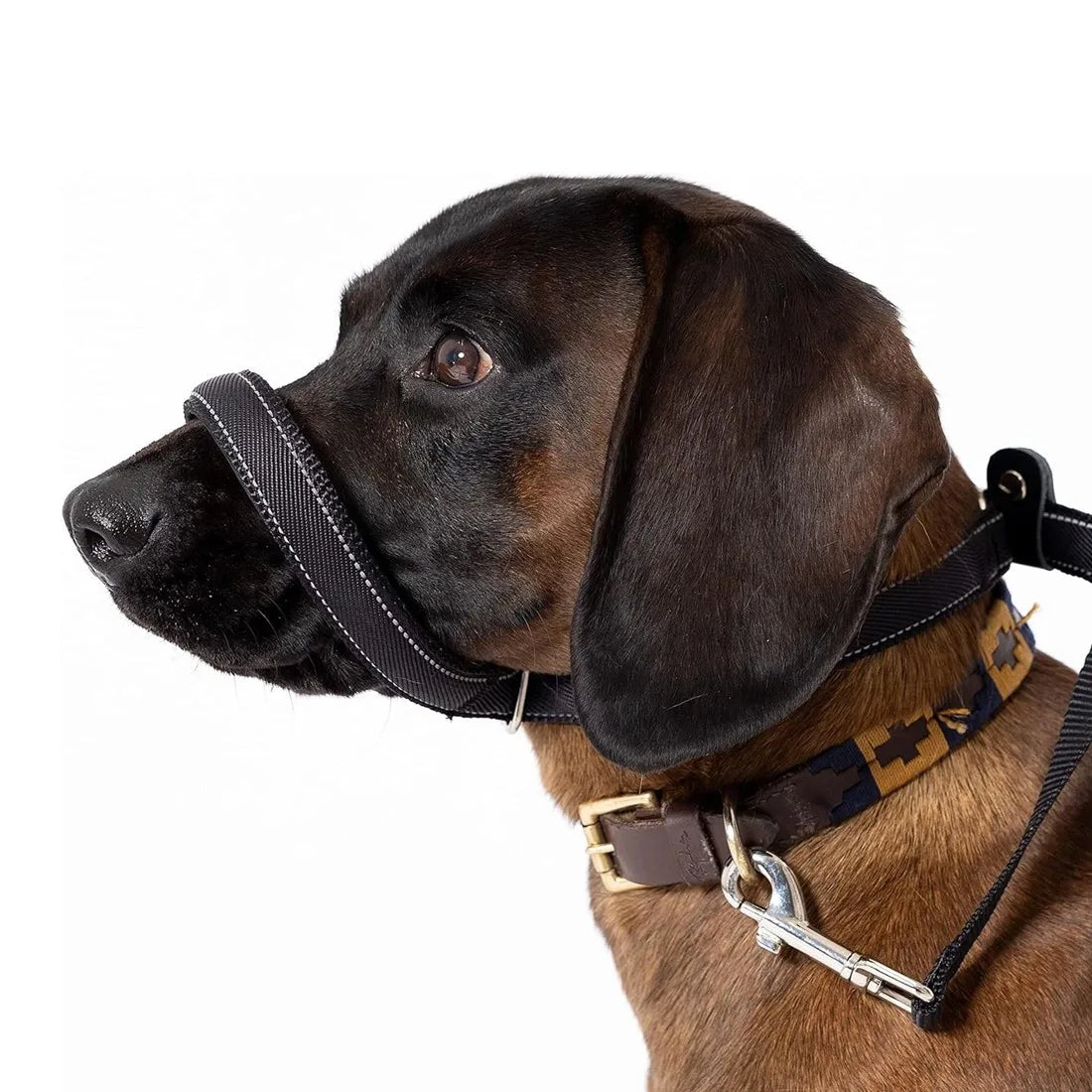 Anti-Pull Dog Lead with Integrated Head Collar Design & Waste Bag Dispenser – 200cm Black Nylon Training Leash