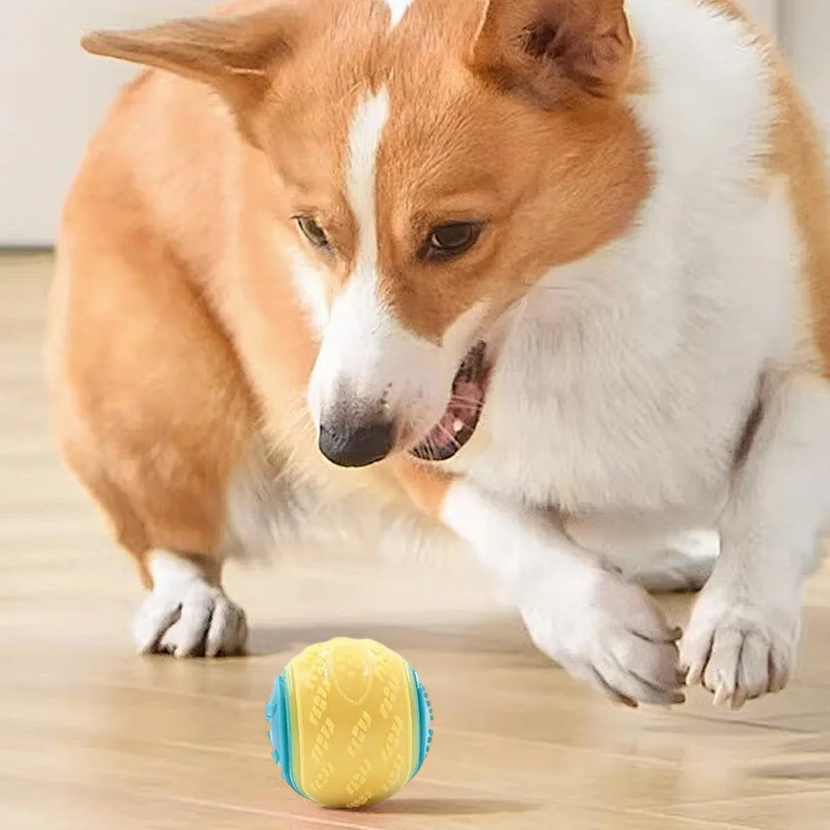 Scooby-Doo Squeaky Dog Balls, Set of 8 Durable Rubber Toys – Interactive Play & Teeth Cleaning