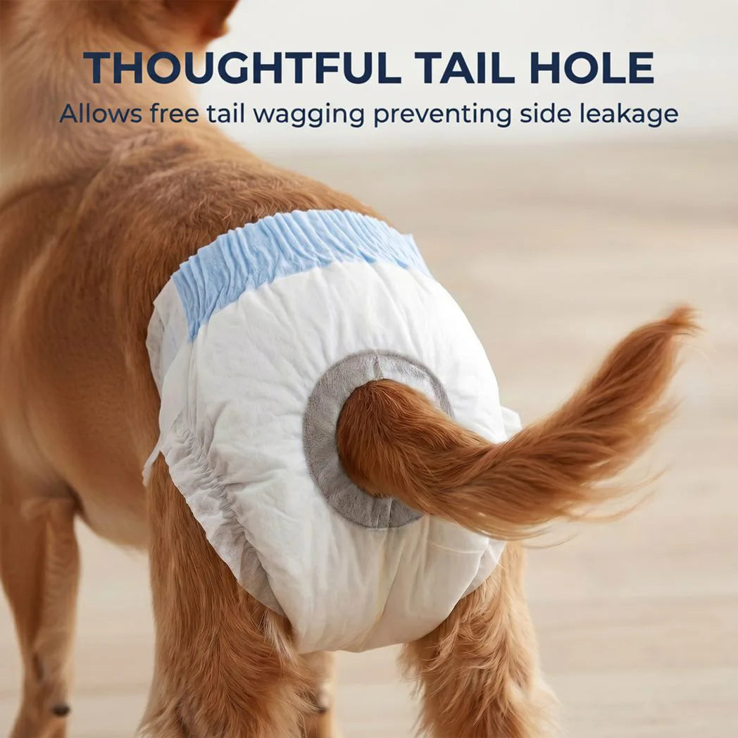 PawHut Disposable Female Dog Nappies, 48 Count with Leakproof 6-Layer Core – Incontinence & Training, Size S