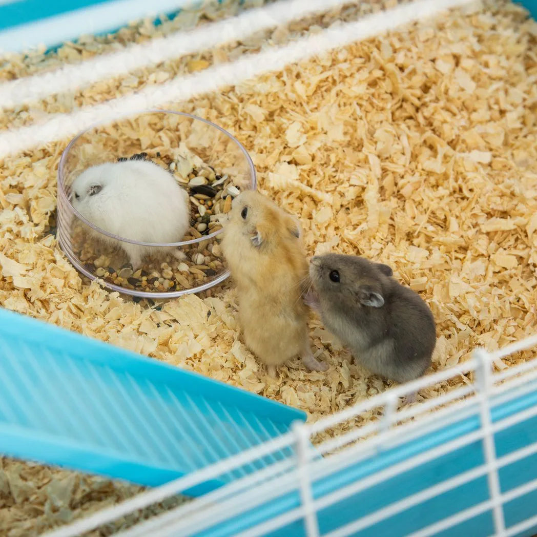 PawHut Hamster Cage with Water Bottle, Exercise Wheel, Play Tubes & Ramps – Small Animal Habitat, Light Blue