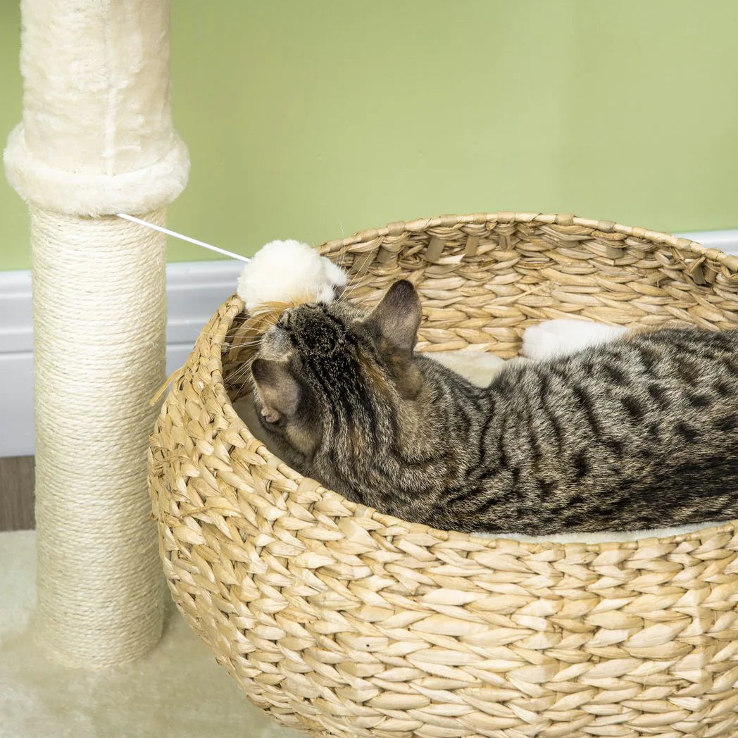 PawHut 72cm Cat Tree with Sisal Scratching Post, Two Beds & Toy Ball – Kitten Activity Tower, Beige