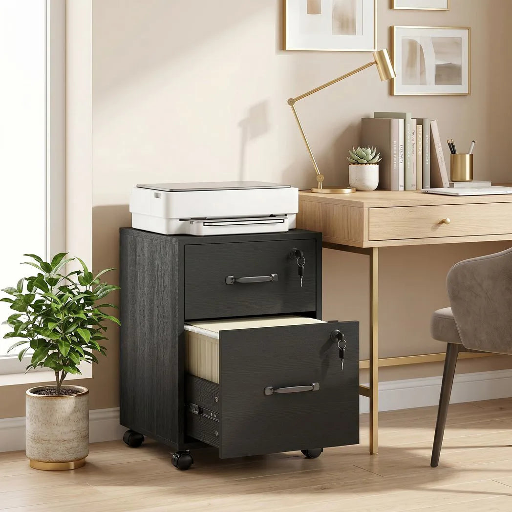 HOMCOM Rolling File Cabinet with 2 Drawers & Lockable Wheels – Under-Desk Mobile Storage, Black
