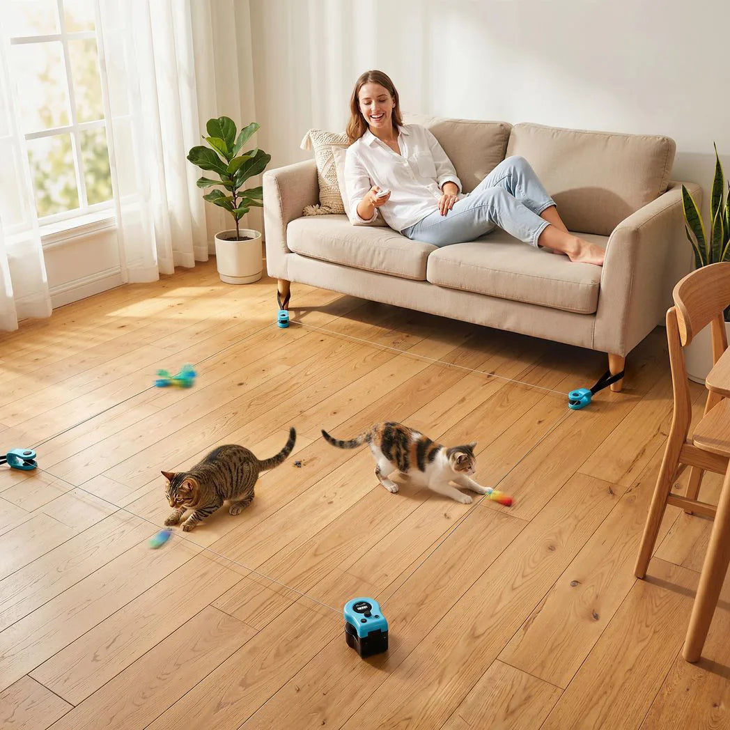 PawHut Interactive Cat Toy for Indoor Cats with Remote Control, Adjustable Speed, DIY Track and Mouse Sound