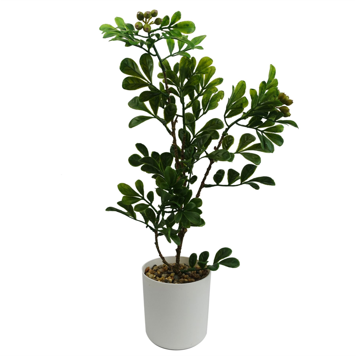 Leaf 45cm Artificial Aglaia Odorata Bonsai Ficus Tree with Decorative Gravel Pot – Wired Stems for Home & Office