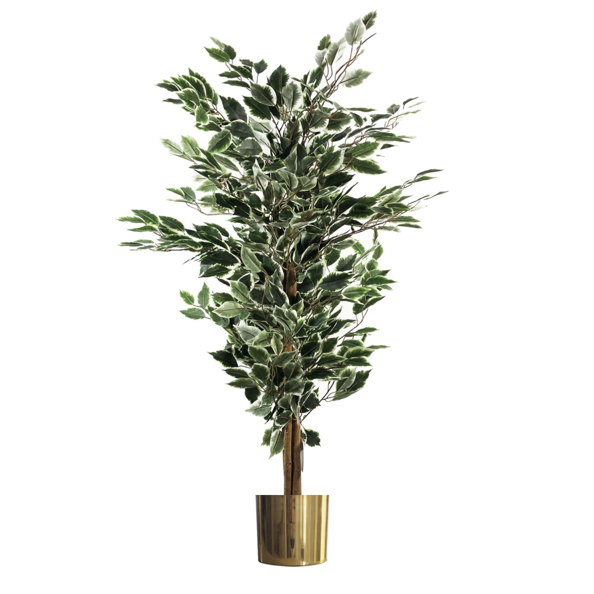 130cm Variegated Artificial Ficus – Gold Planter