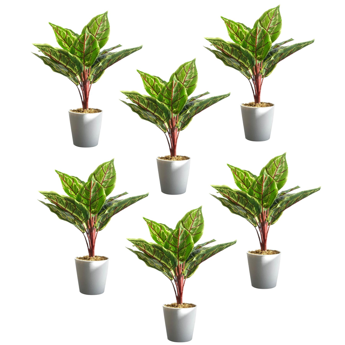 Leaf Artificial Potted Calathea Veitchiane, Pack of 6 – Low-Maintenance Desk and Shelf Plants, 38cm