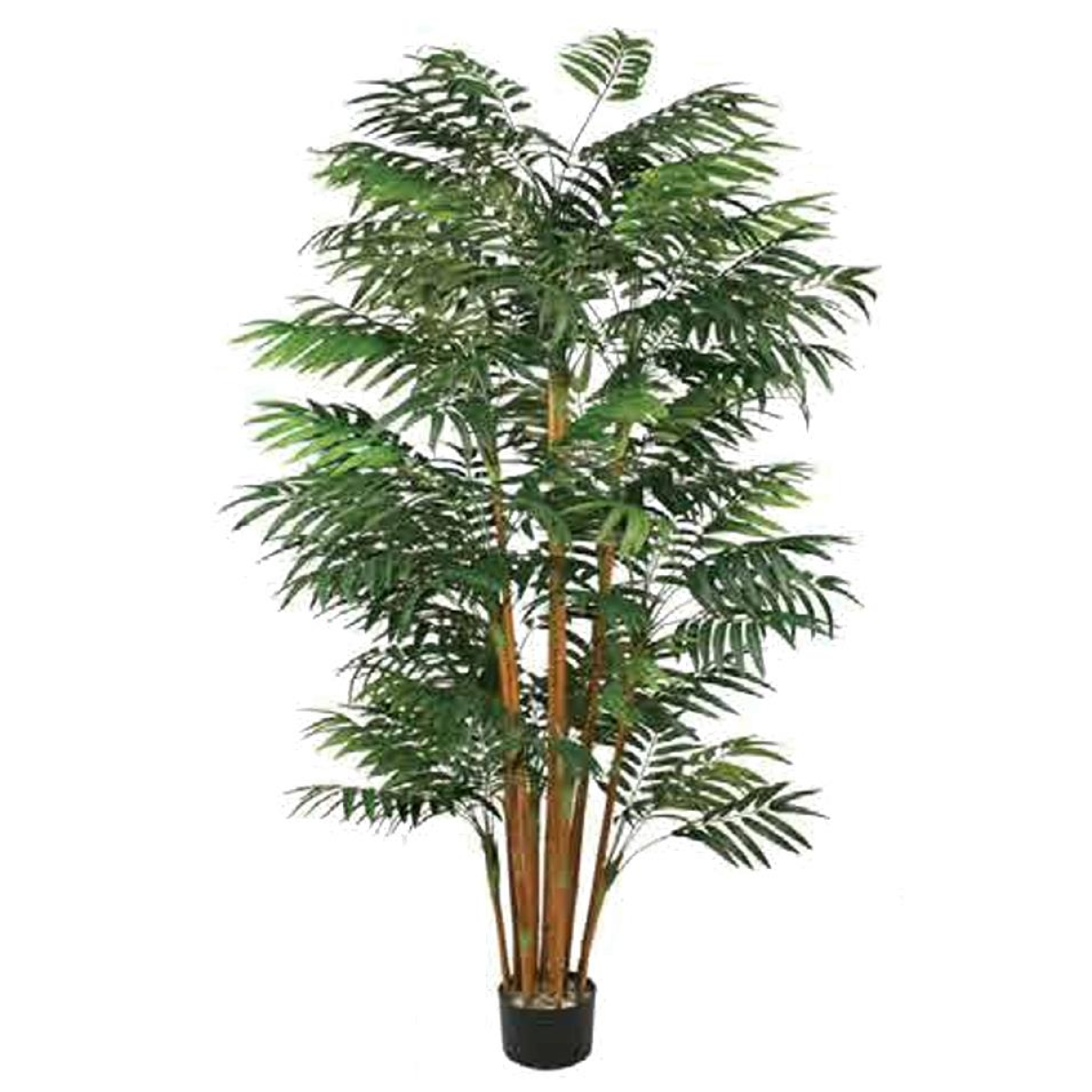 Leaf 200cm Fire Retardant Natural Bamboo Tree – Low-Maintenance Plant for Home & Commercial Use