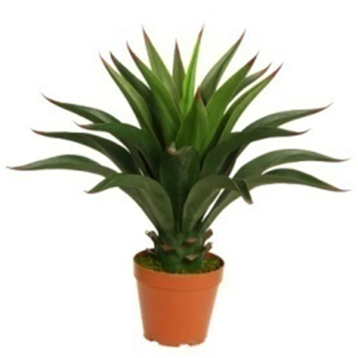 Leaf 60cm Deluxe Artificial Yucca Plant in Black Pot – Realistic Faux Greenery, Maintenance-Free