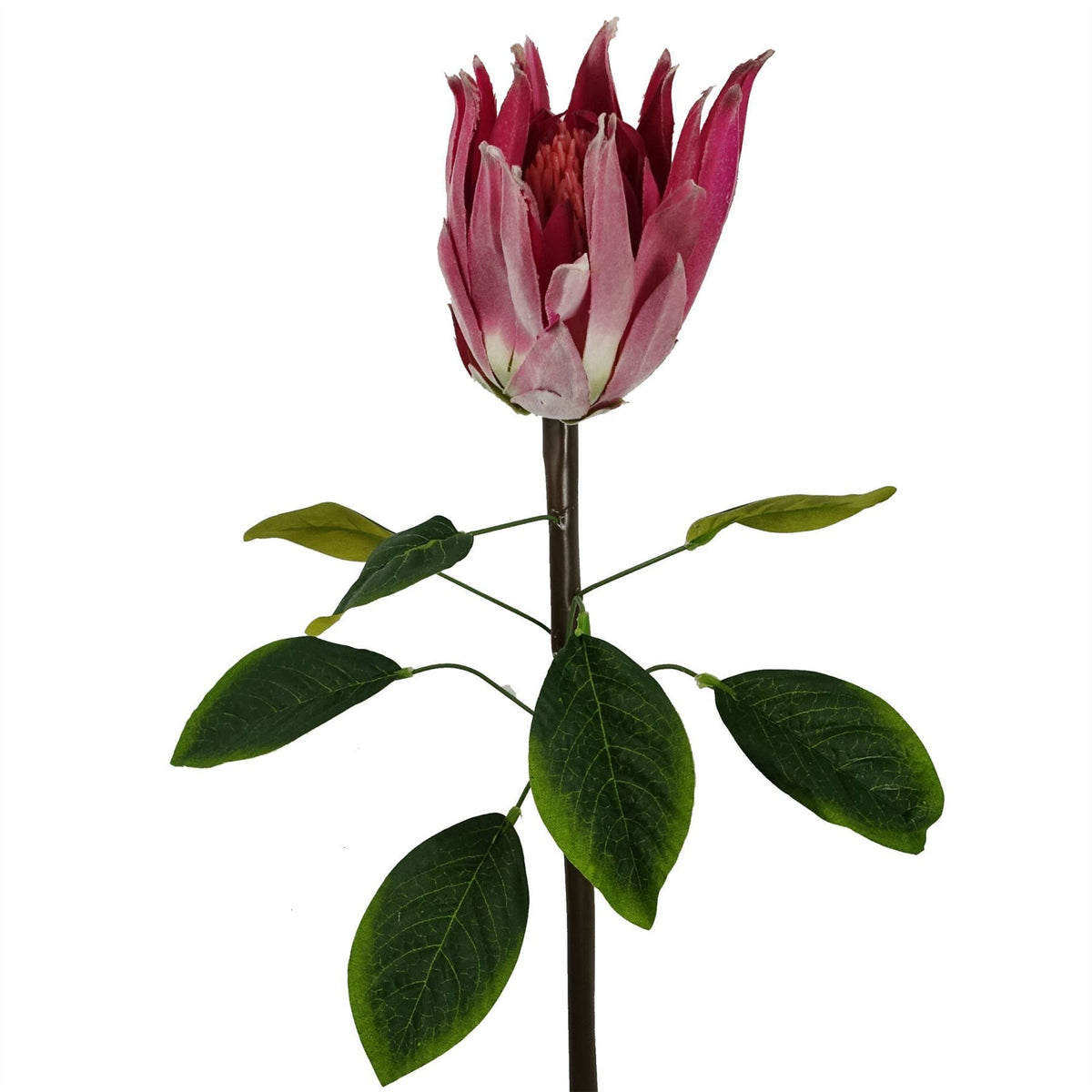 Leaf Protea Sugarbush Artificial Flower Stem with Silk Petals and Wired Stem – 65cm Home Decor, Pink
