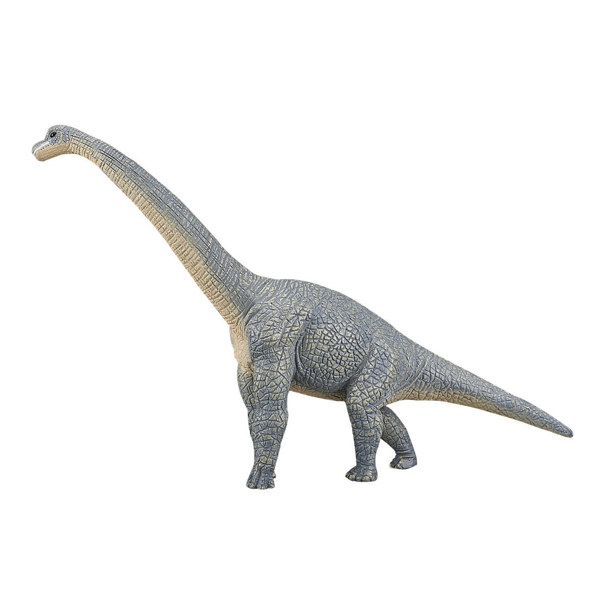 MojoFun Brachiosaurus Dinosaur Toy Figurine – Realistic Prehistoric Model