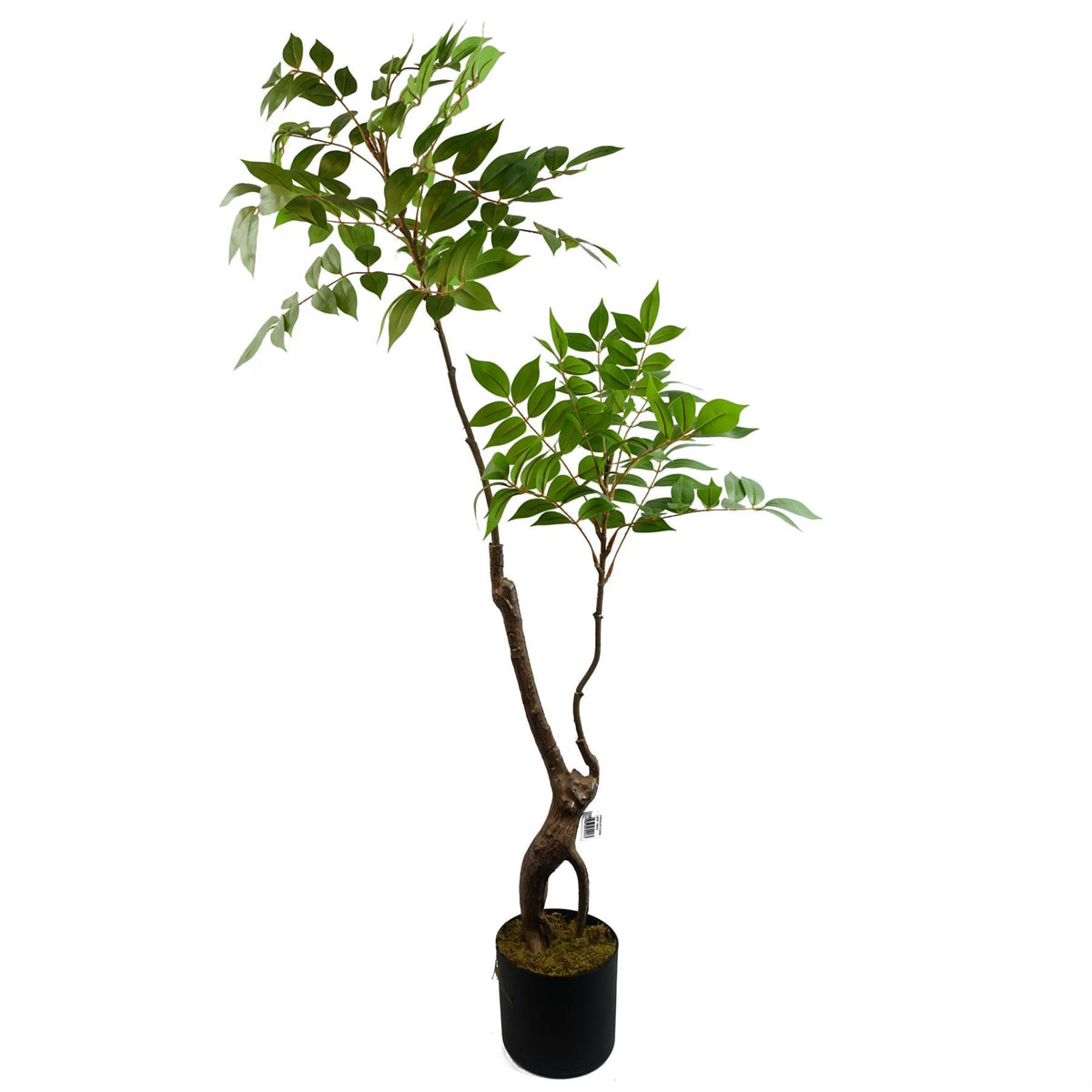 Leaf 110cm Artificial Toona Sinensis Tree – Evergreen Realistic Indoor Plant in Weighted Pot