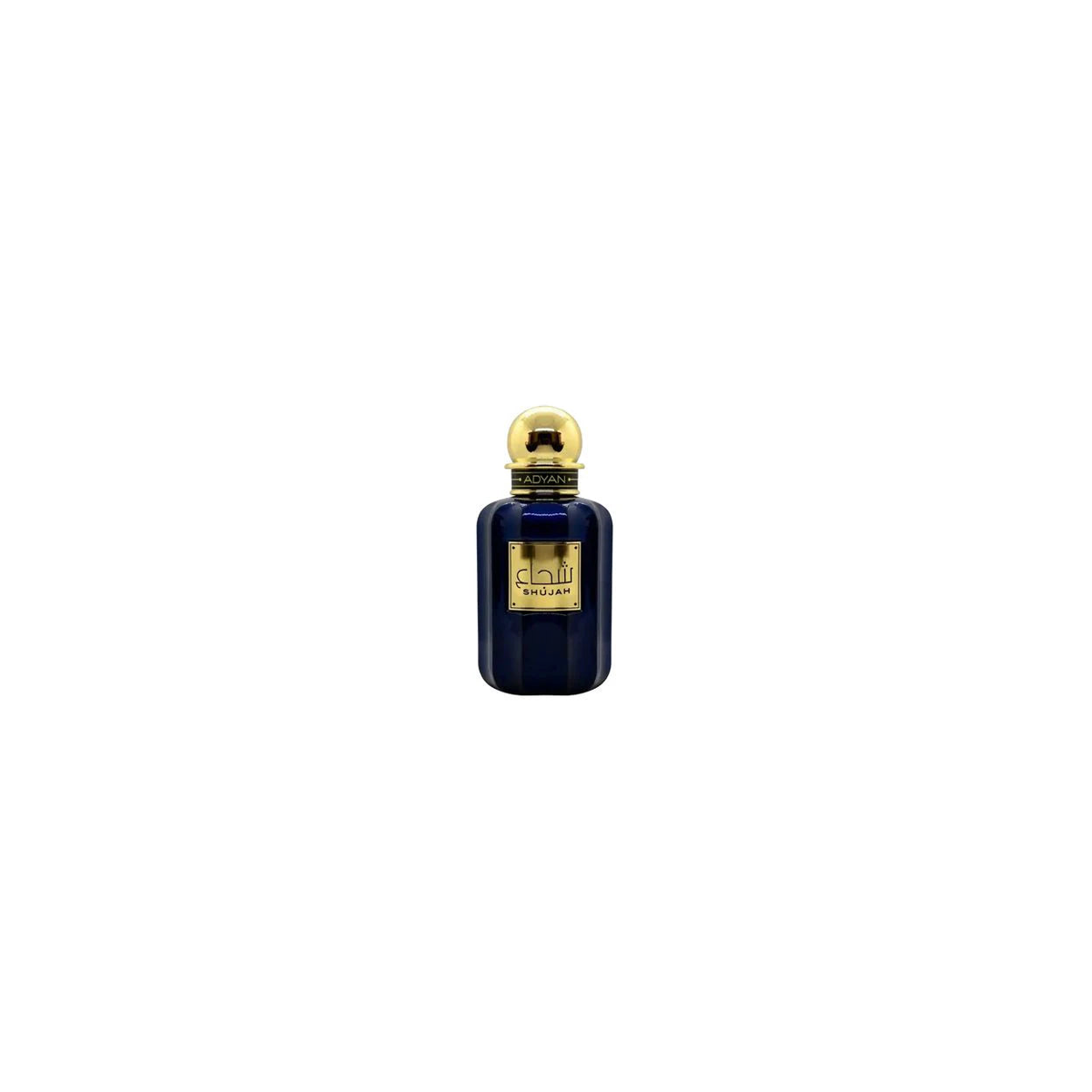 Adyan Shujah Eau de Parfum 100ml – Oriental Arabic Perfume for Men and Women
