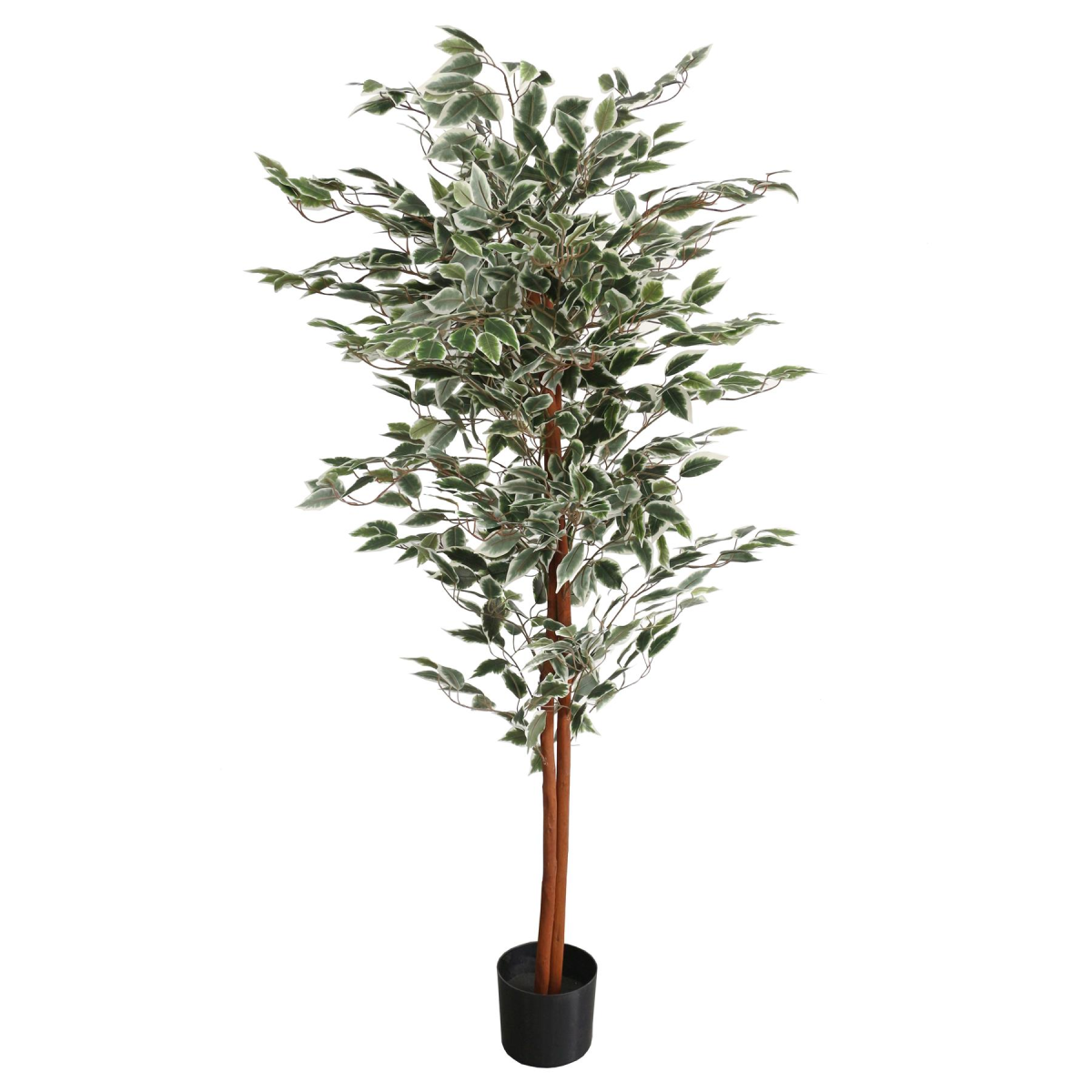 Leaf Artificial Ficus Tree with Natural Variegated Leaves in Pot – Statement Indoor Plant, 160cm