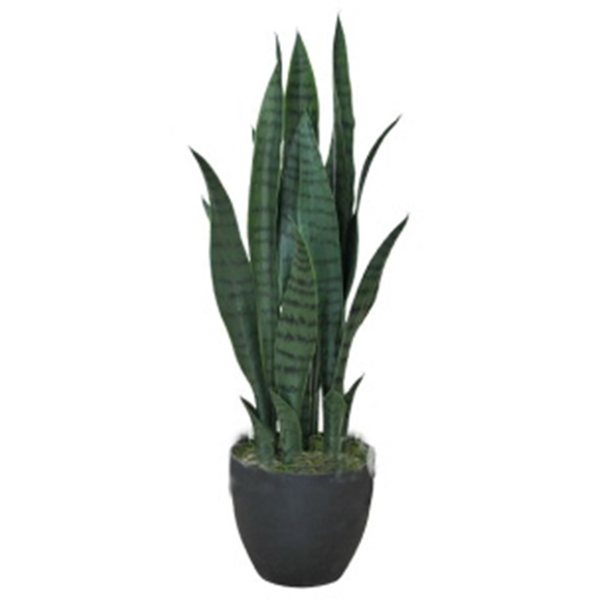 Leaf 70cm Artificial Sansevieria in Black Pot – Realistic Dark Green Snake Plant for Home & Office