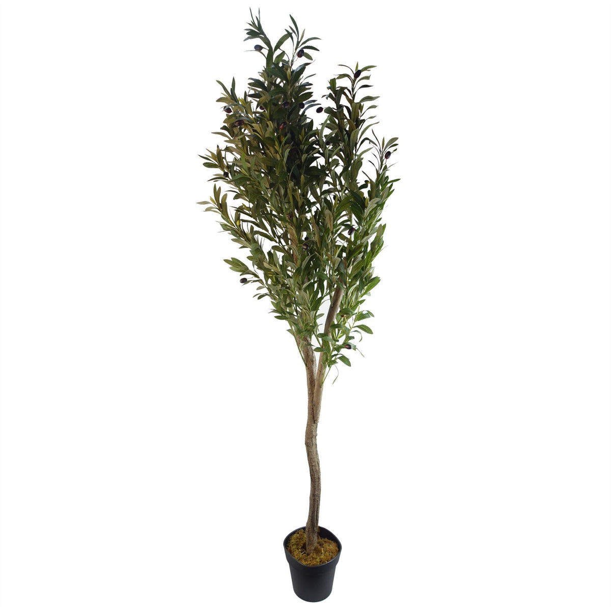 Leaf Design UK Artificial Olive Tree with Natural Wooden Trunk, 150cm
